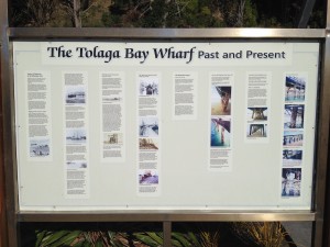 Tolaga Bay-The Mount-Cooks Beach-005